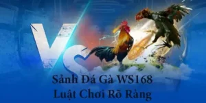 Bí Quyết Chơi Đá Gà WS168 Tại Yeu88 Thắng Lớn Dễ Dàng Hơn