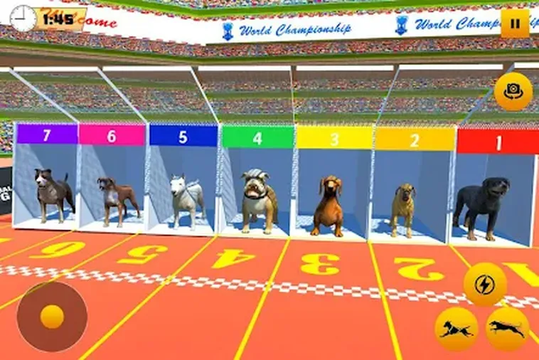 Bí Kíp Thắng Lớn Game Nhanh Đua Chó Tại Yeu88 Cho Người Mới Chơi